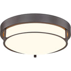 Plafonnier moderne à 2 lumières et 12 pouces