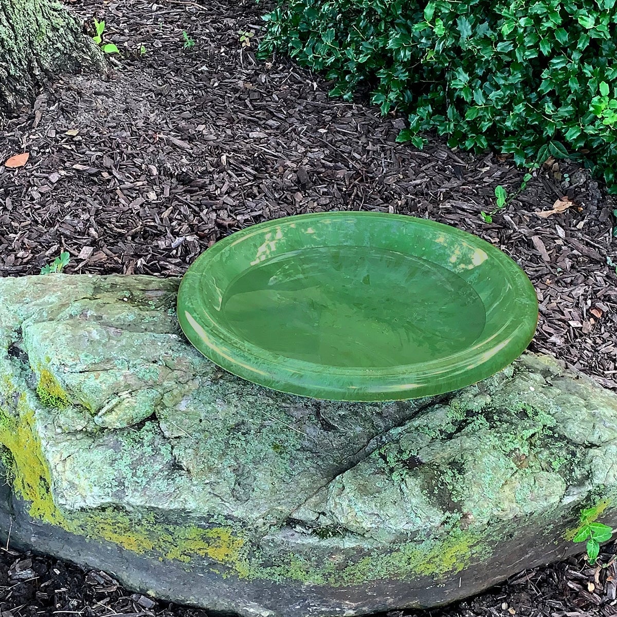 Dessus de bain d'oiseaux en fibre d'argile de 19 pouces de diamètre