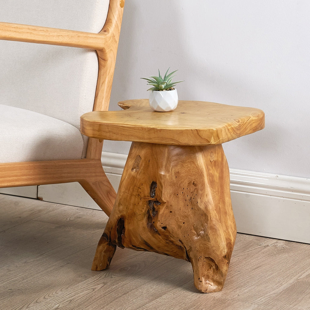 Support de table d'appoint en forme de champignon en racines de cèdre Greenage