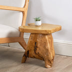 Support de table d'appoint en forme de champignon en racines de cèdre Greenage