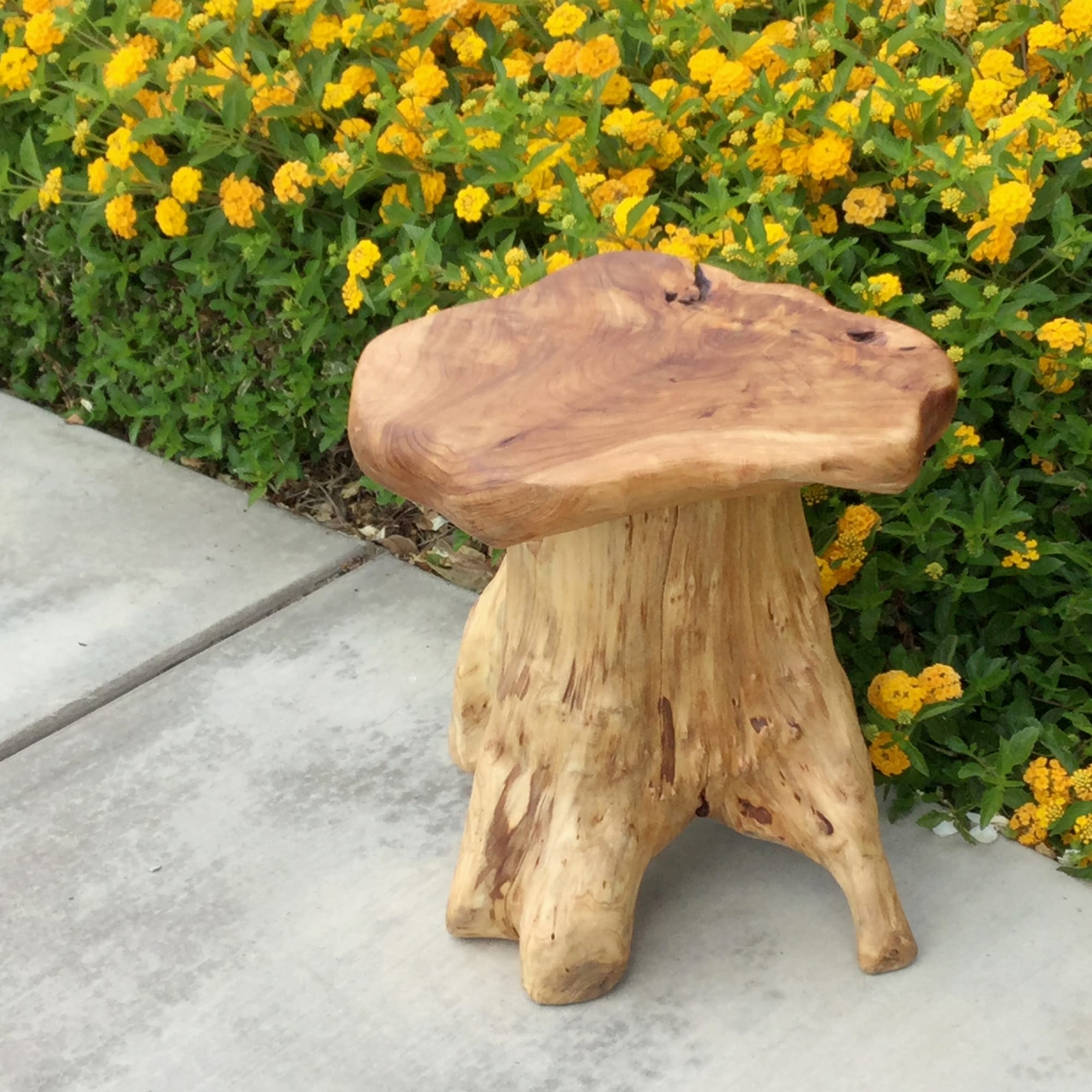 Support de table d'appoint en forme de champignon en racines de cèdre Greenage
