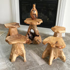 Support de table d'appoint en forme de champignon en racines de cèdre Greenage
