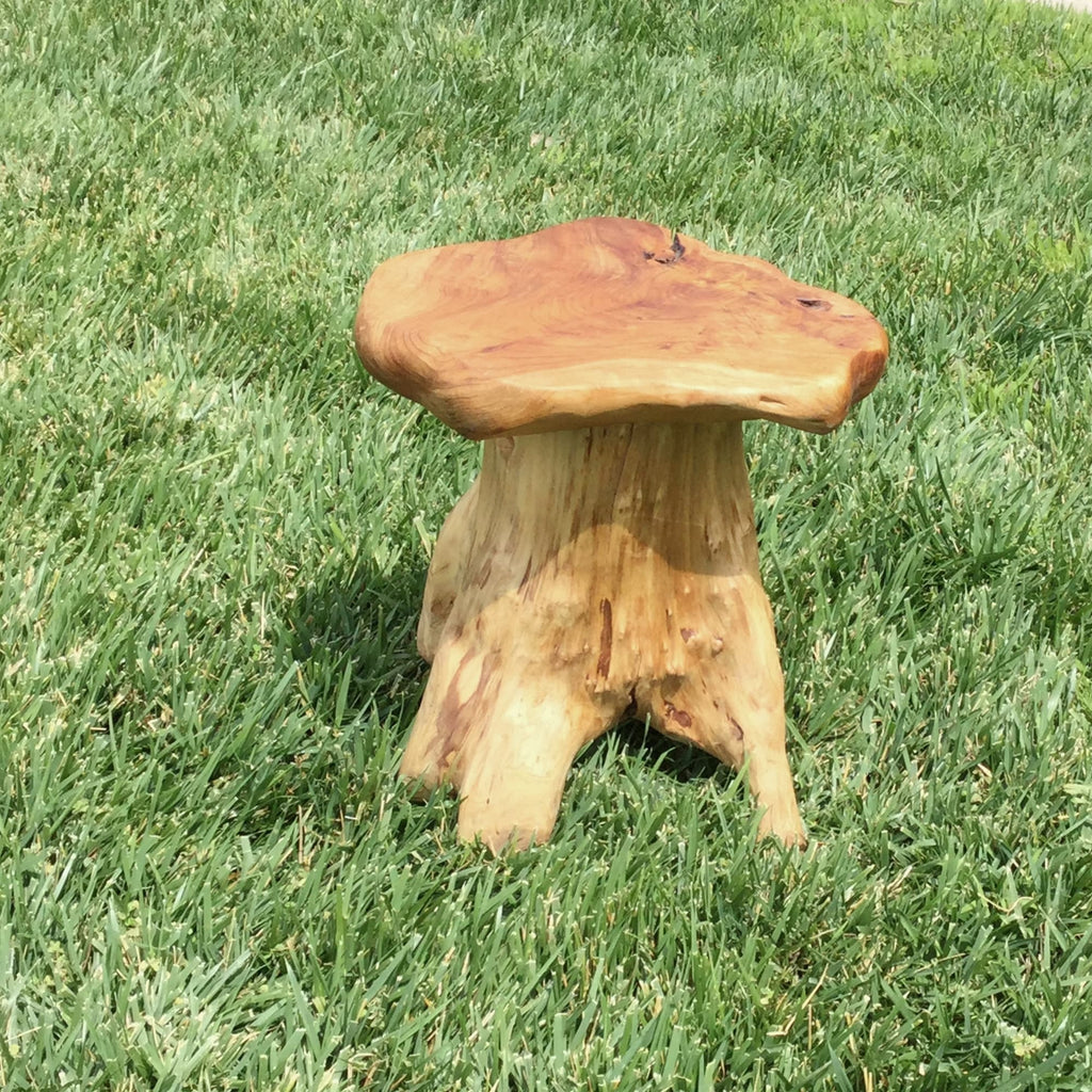 Support de table d'appoint en forme de champignon en racines de cèdre Greenage