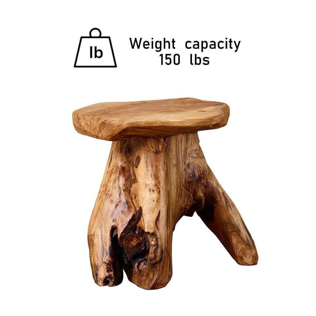 Support de table d'appoint en forme de champignon en racines de cèdre Greenage