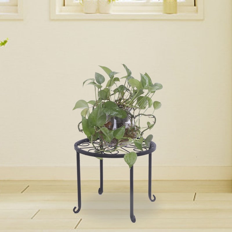 Support rond en fer pour plantes de jardin